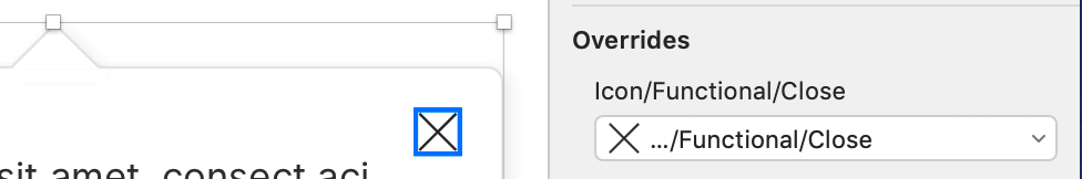 An example of a symbol override allowing the replacement of an icon.